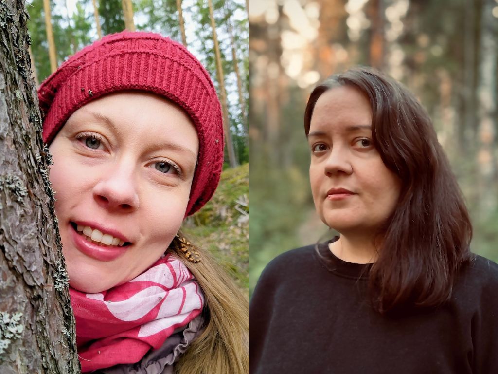 Annika Hämynen & Johanna Lehtomaa (kuv.): Apua, tivoli on täynnä vilinäisiä!